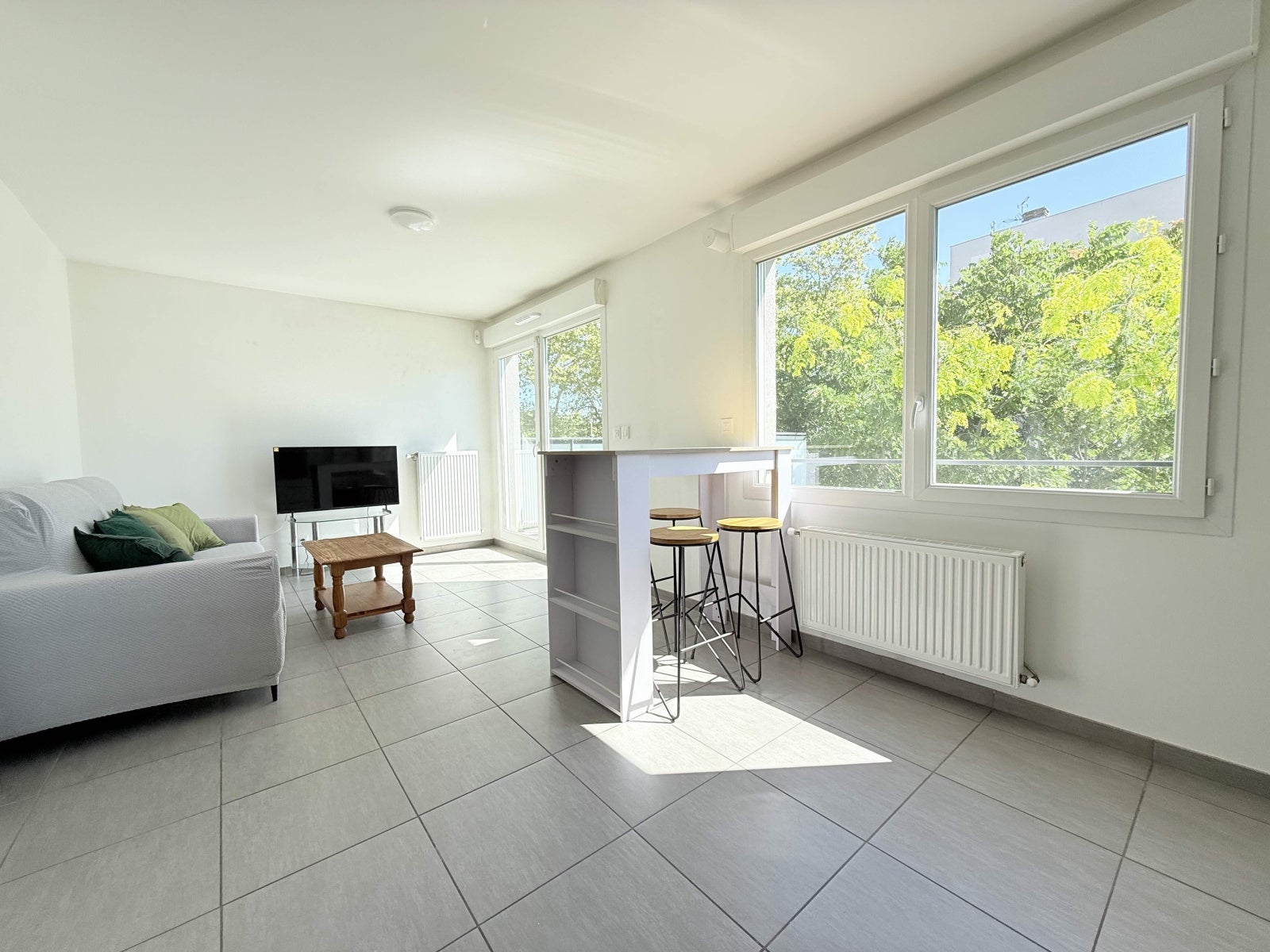 Appartement Avenue Albert Einstein à Villeurbanne