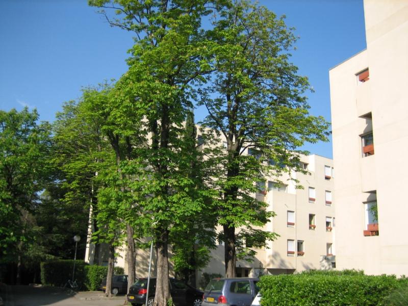 Appartement Avenue Du Professeur Grasset à Montpellier