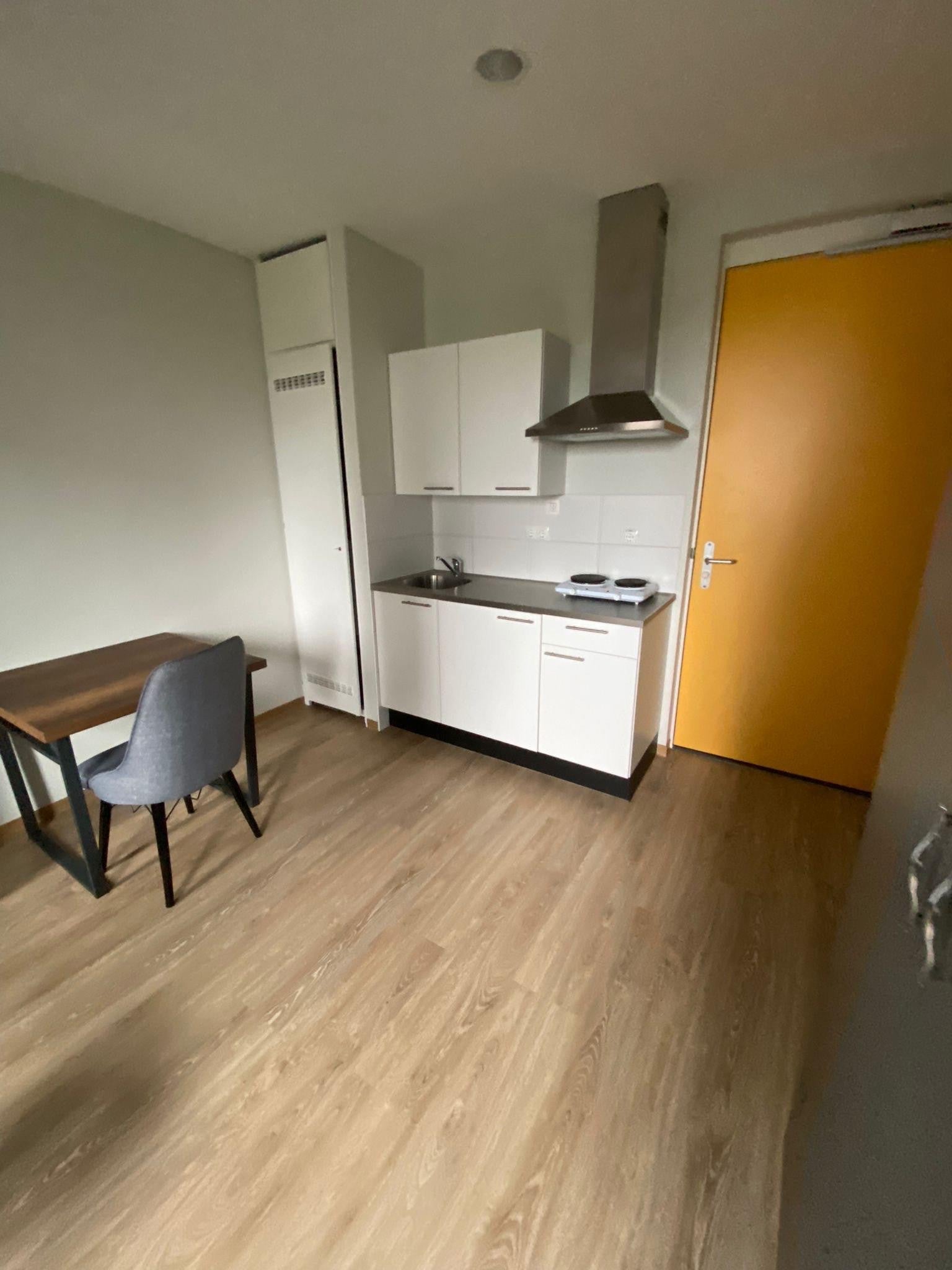 Studio Professor Verbernelaan in Tilburg