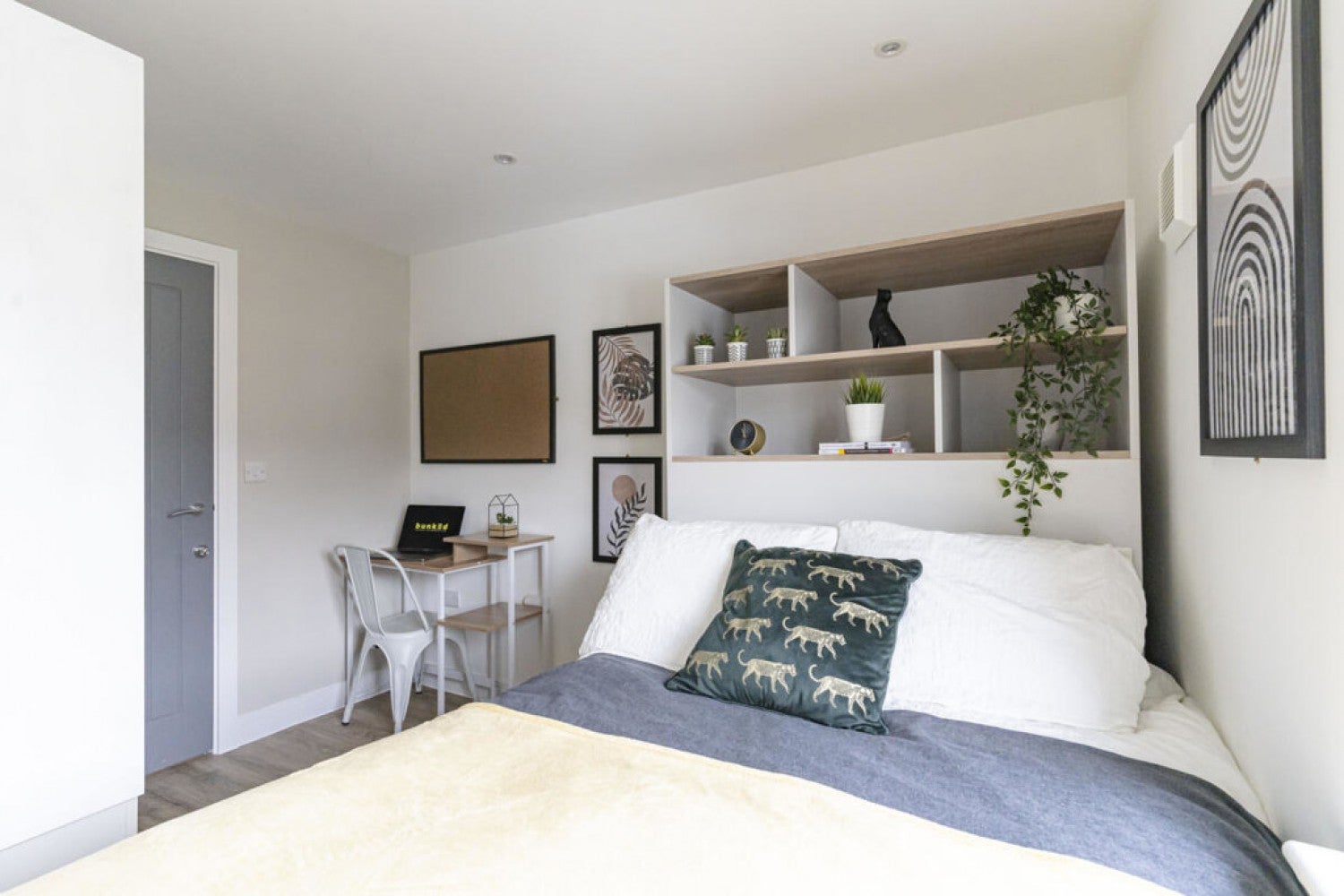 Room Alresford Road in Winchester