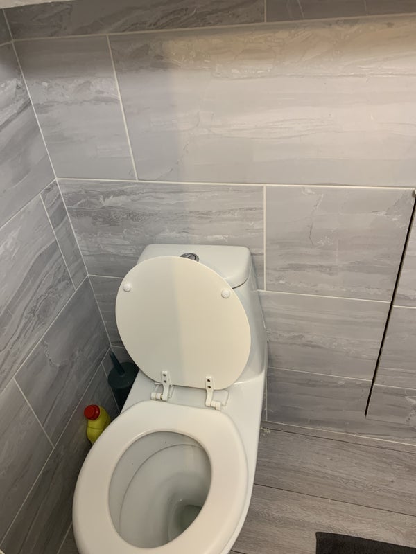 Room Gunnersbury Avenue in Greater London