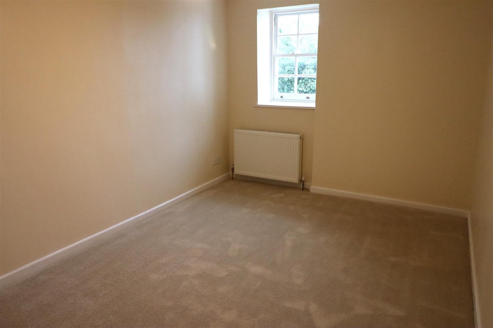 Flat Buzzacott Lane in North Devon