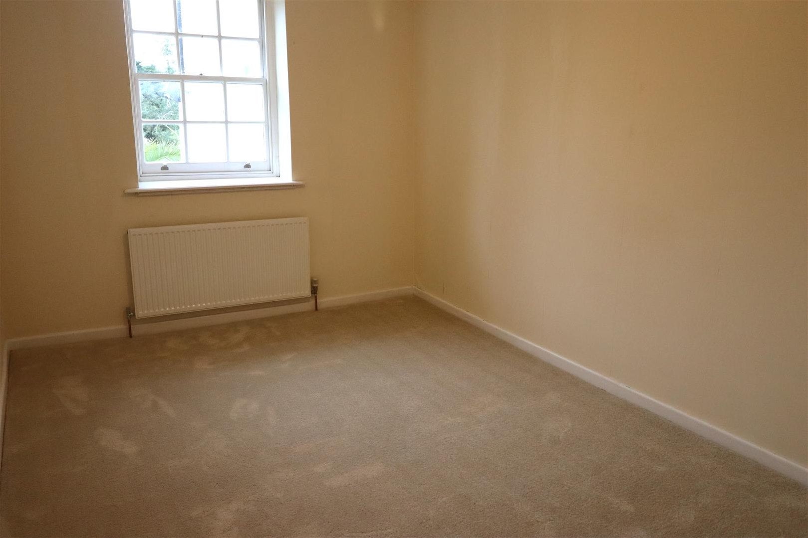 Flat Buzzacott Lane in North Devon