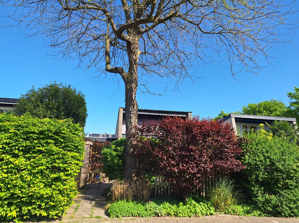 Huis Buizerdstraat 12 in Leerdam