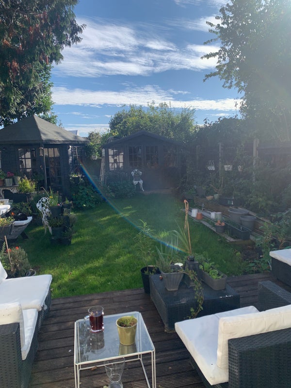 Room King Alfred Avenue in Greater London