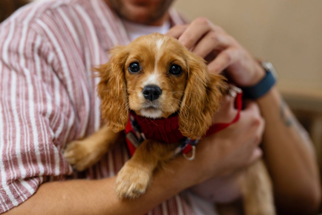 Flat Fortunes Walk in Greater London