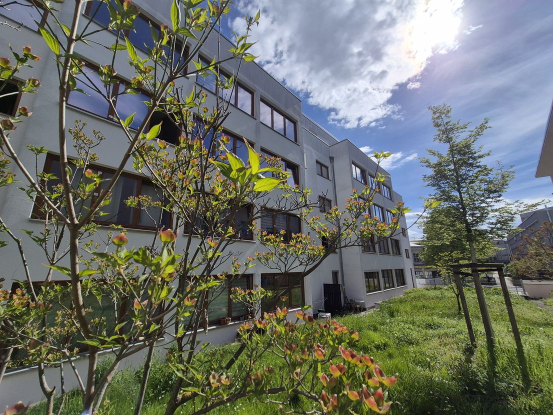 Wohnung August-Bebel-Straße in Dresden