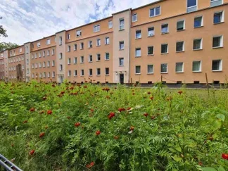 Wohnung Hospitalstraße in Düsseldorf