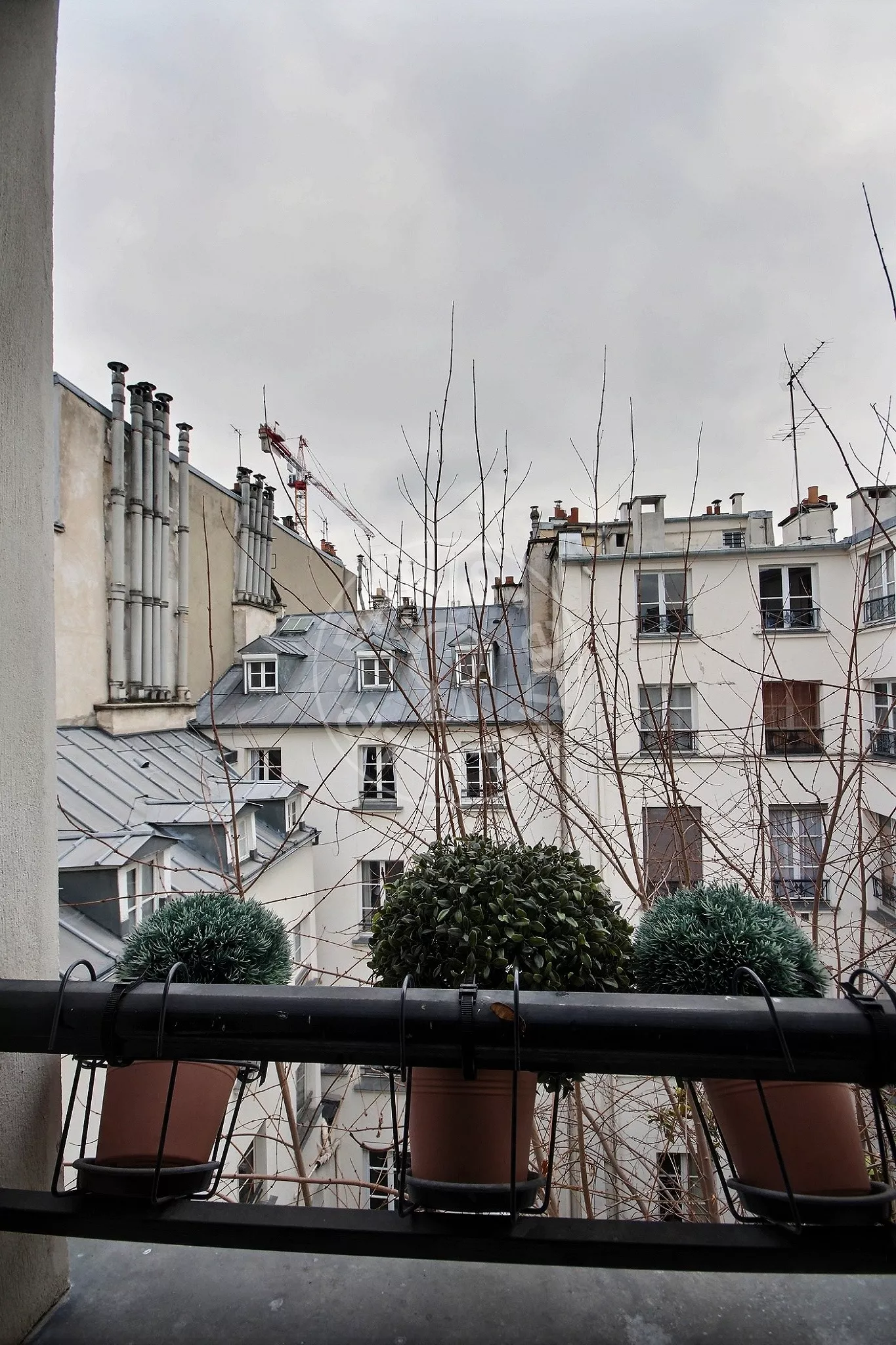 Appartement Rue de Seine à Paris