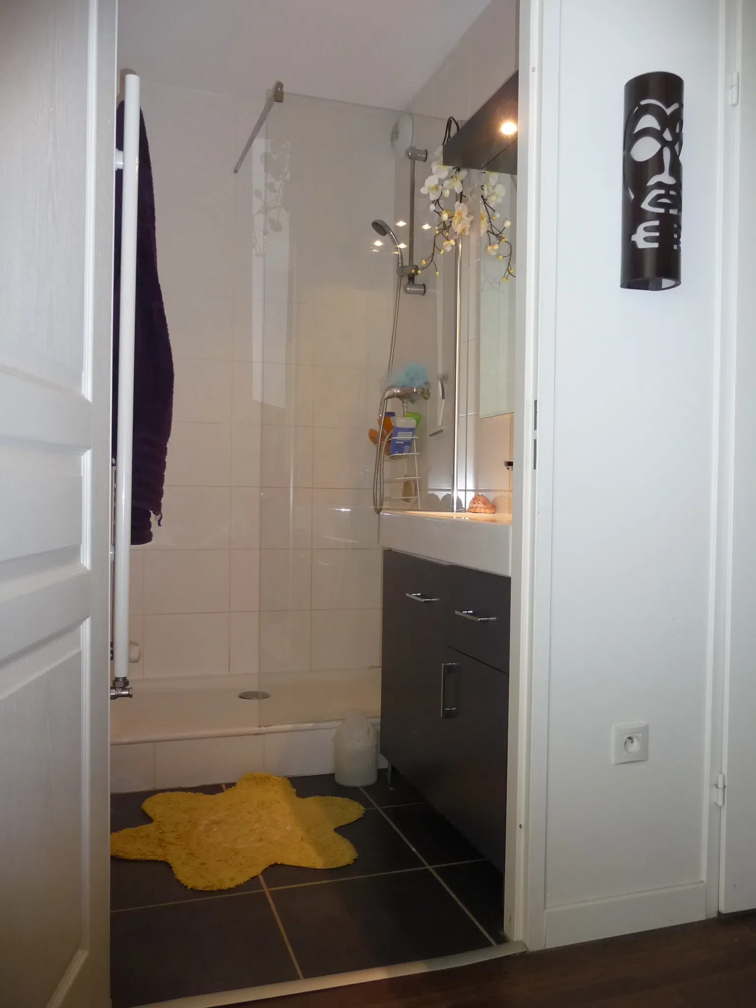 Room Rue Marx Dormoy in Grenoble