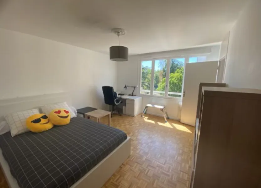 Appartement Rue Joliot-Curie à Lyon