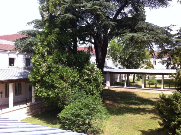 Appartement Avenue Charles de Gaulle à Auxerre