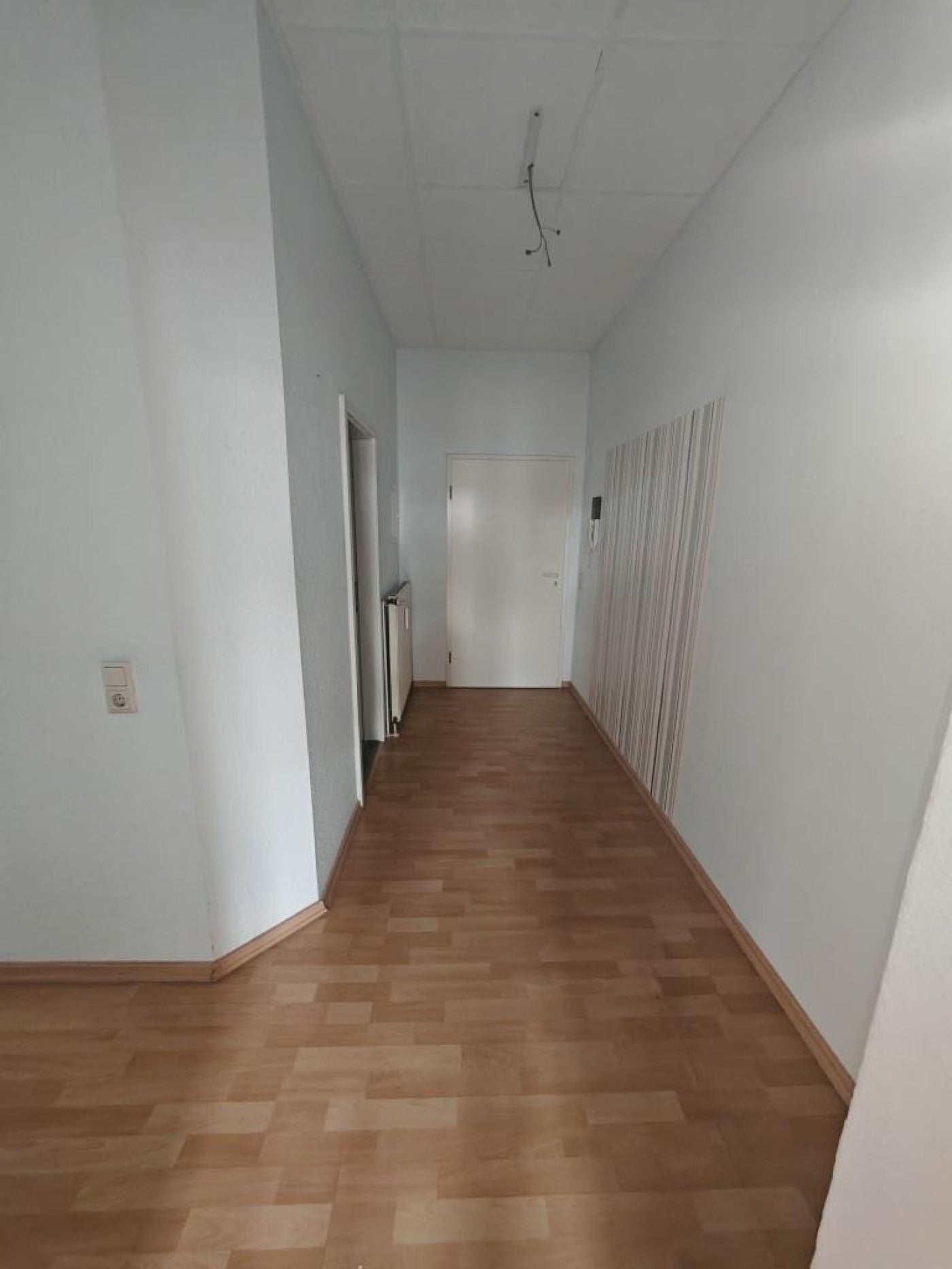 Wohnung Kesselsdorfer Straße in Dresden