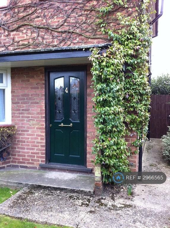 House Foxes Piece in Marlow