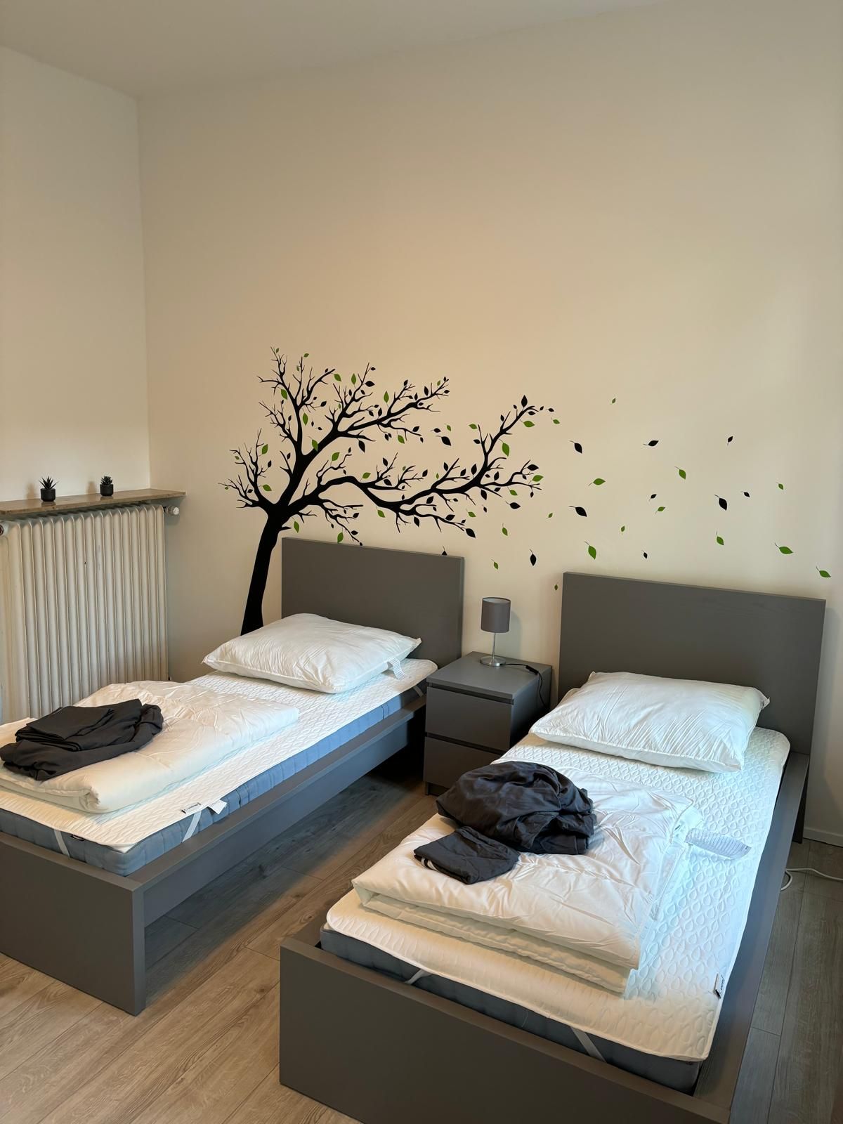 Wohnung Ostwall in Krefeld