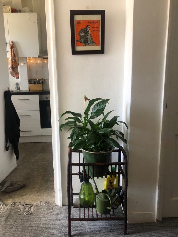 Room Tanners Hill in Greater London