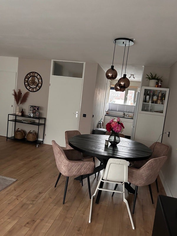Flat Fokkemast in Westzaan