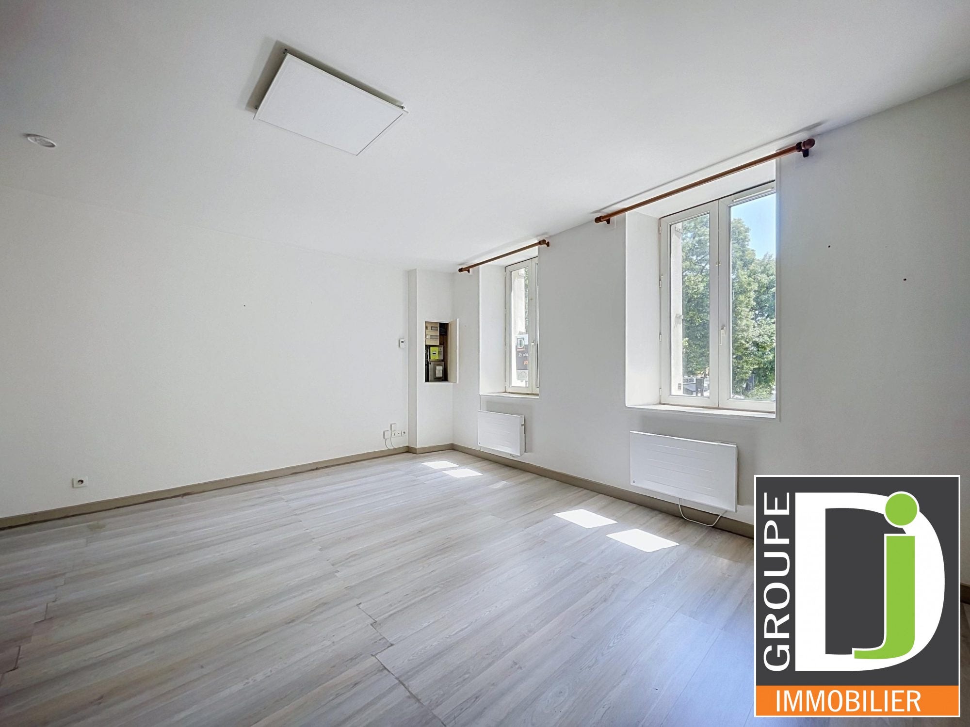 Appartement Rue Madier de Montjau à Valence