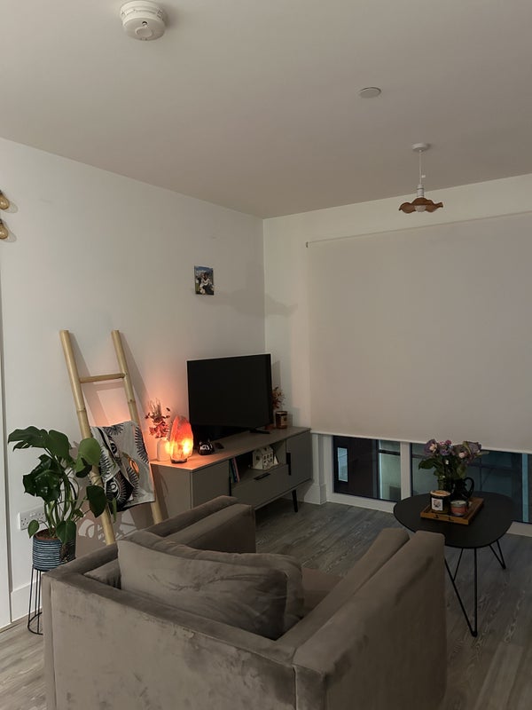 Room Summerfield Street in Sheffield