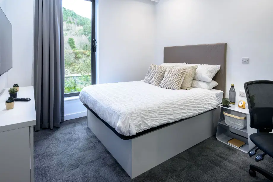 Flat Morfa Road in Swansea