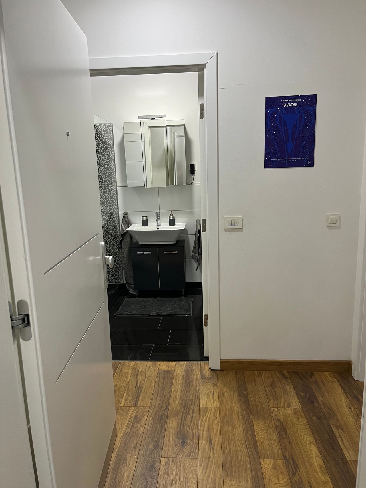 Wohnung Luisenring in Mannheim