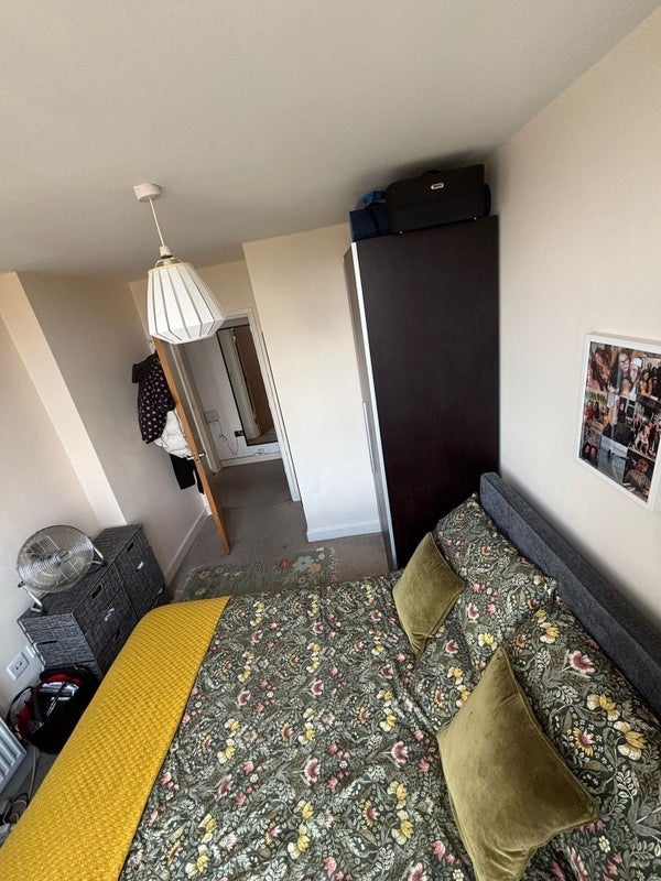 Room Seagull Lane in Greater London