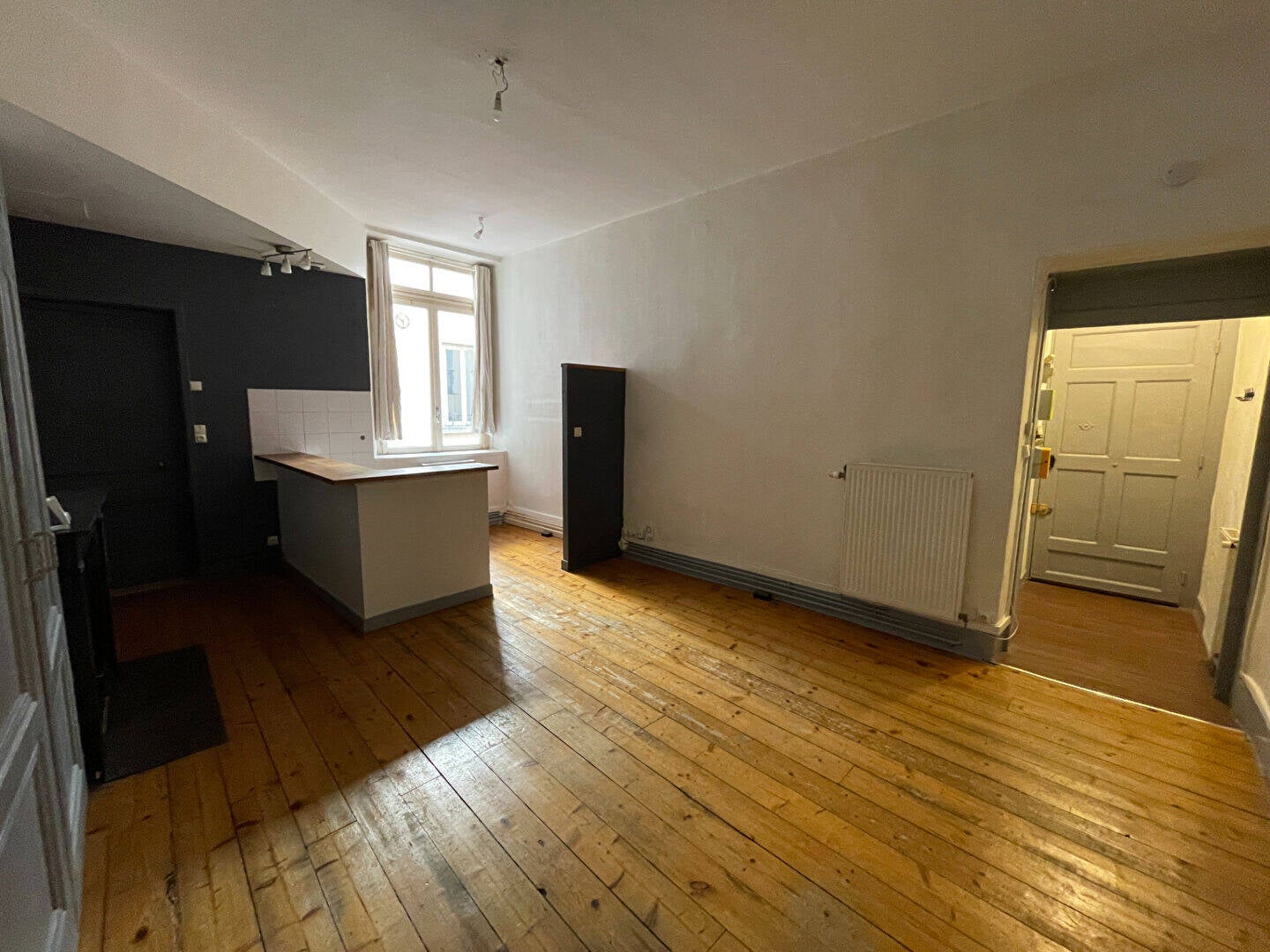 Appartement Rue des Marronniers à Lyon