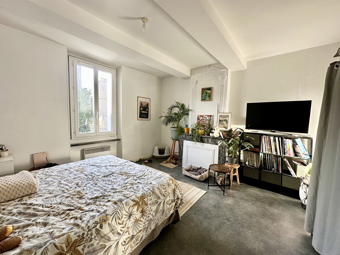 Appartement Rue Masséna à Carcassonne