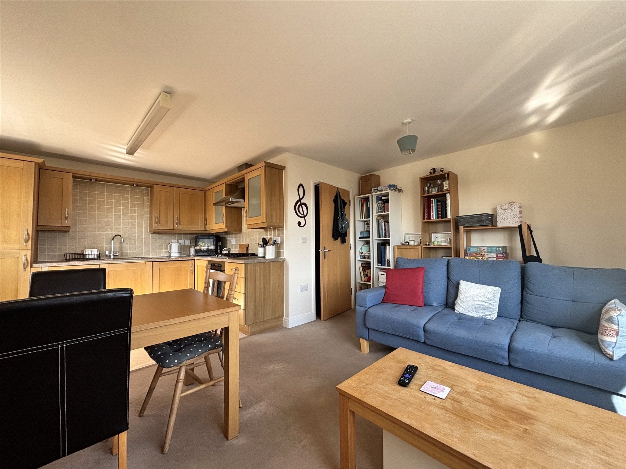Flat Dragonfly Close in Bristol