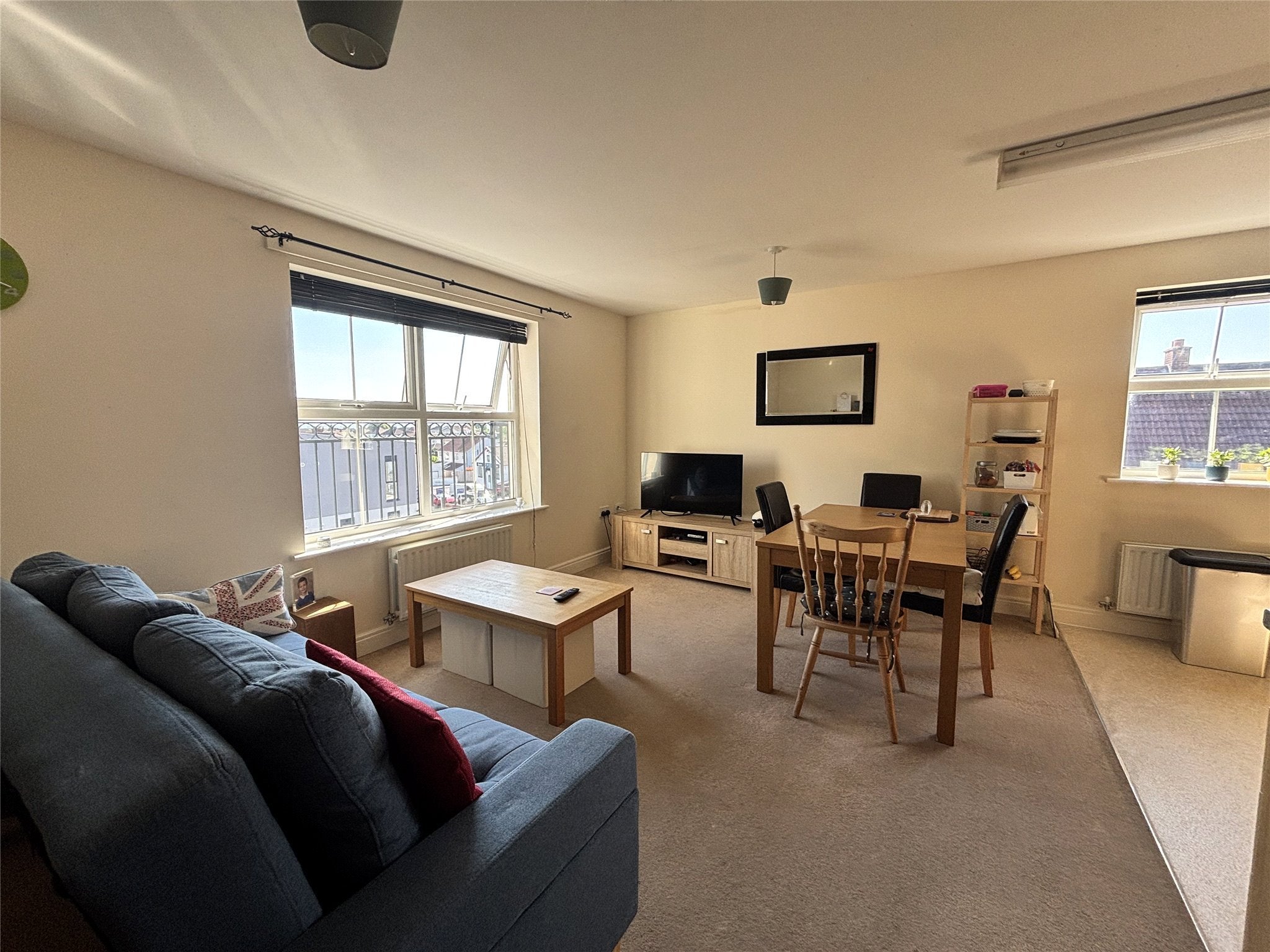 Flat Dragonfly Close in Bristol