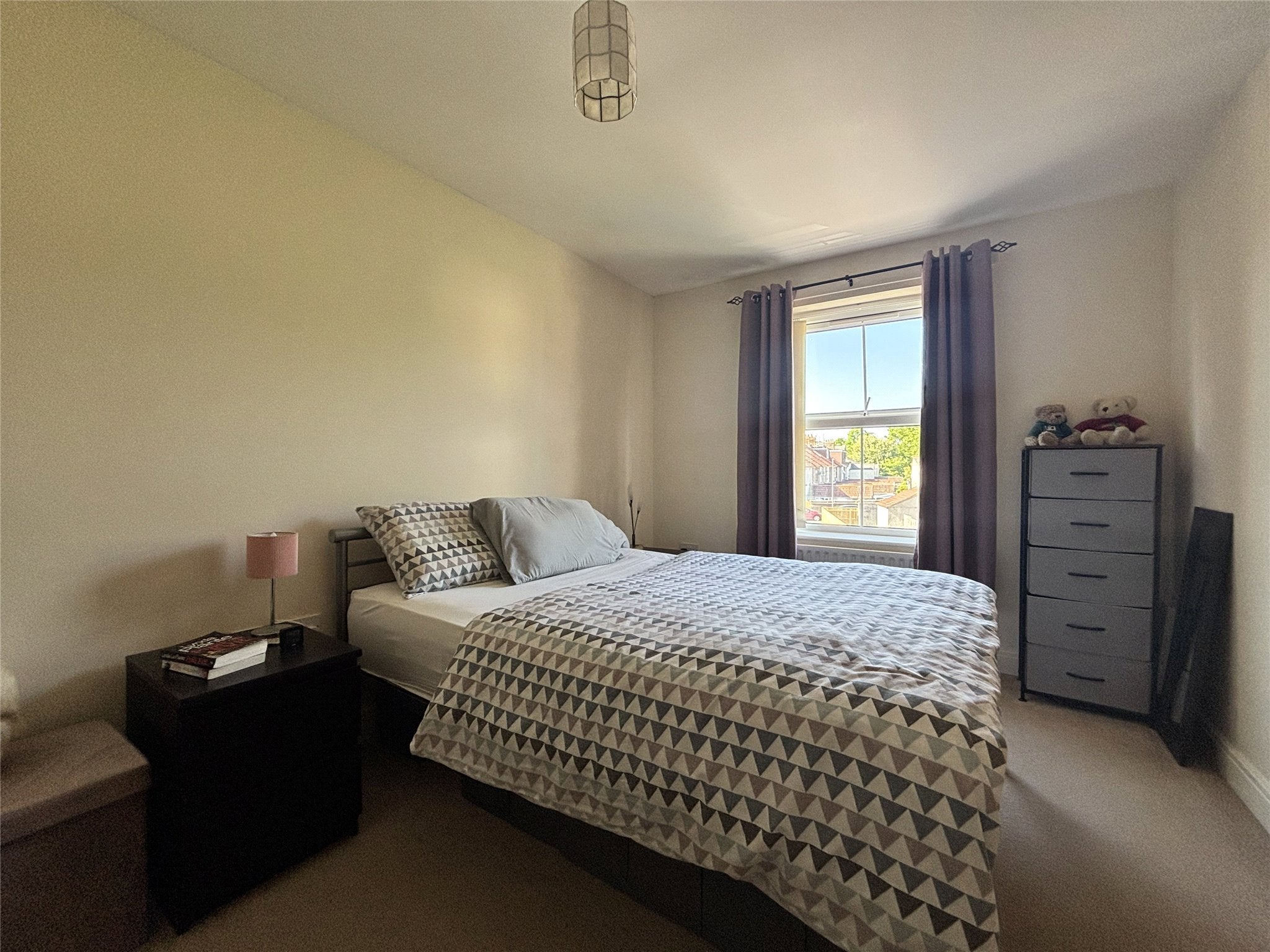 Flat Dragonfly Close in Bristol