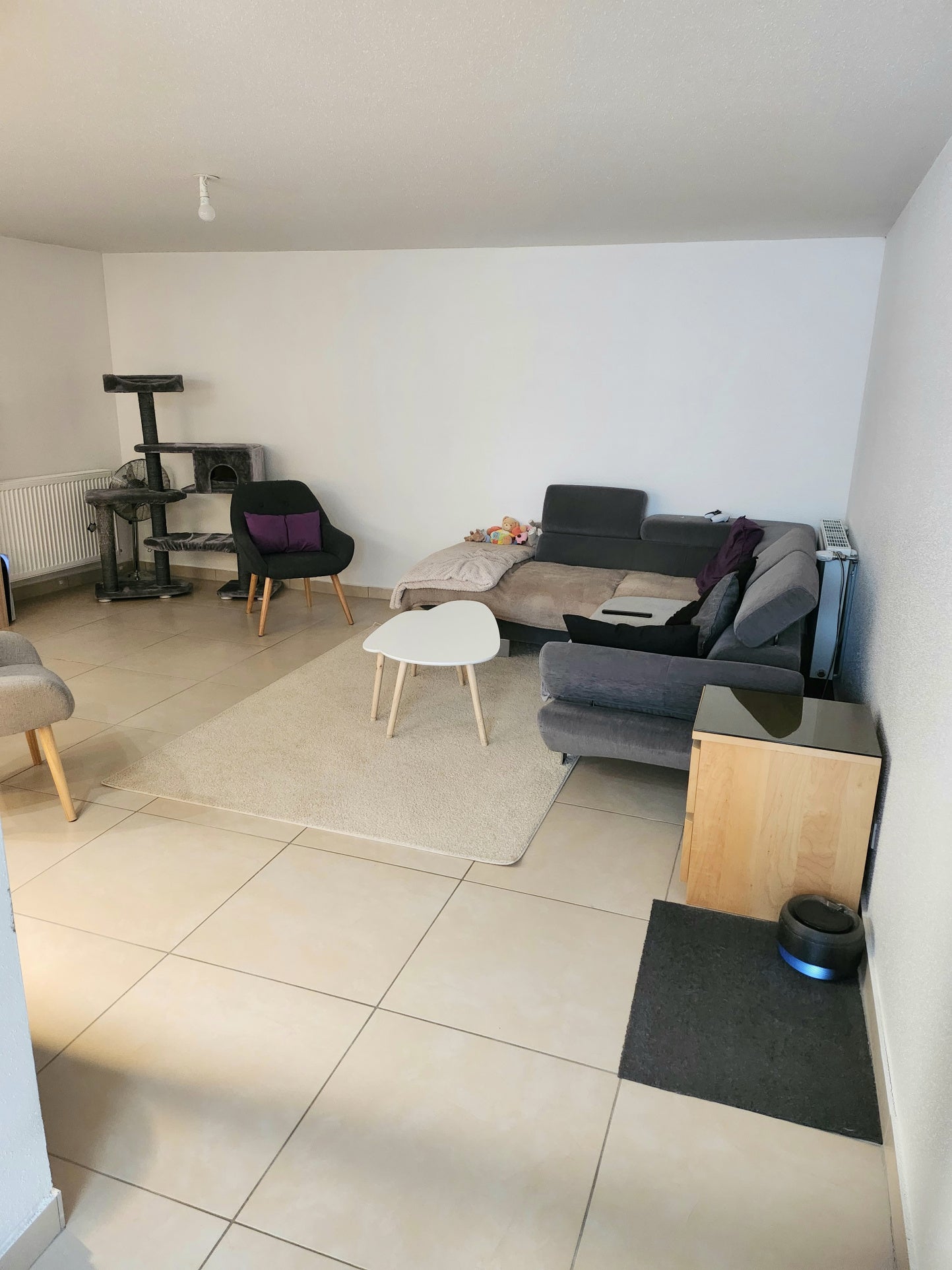 Appartement Rue de la Liberté à Ensisheim