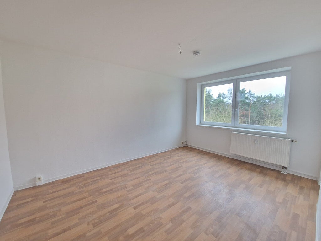 Wohnung Birkenallee in Roßlau