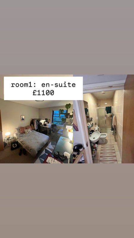 Room Chelmer Road in Greater London