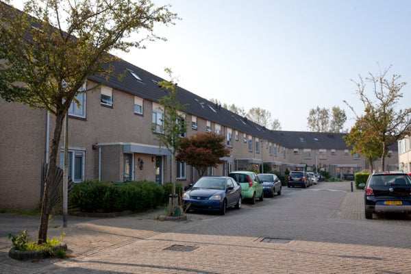 Jan Ritzema Bosstraat