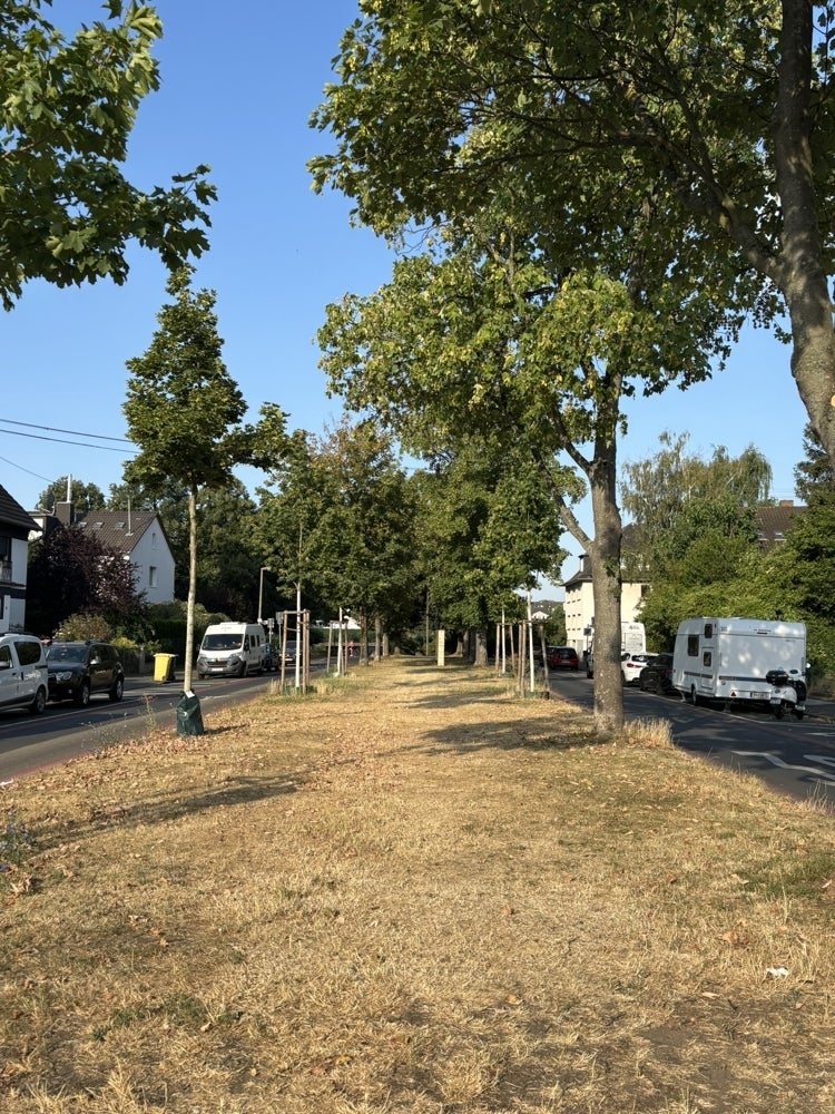 Wohnung Markt in Bonn
