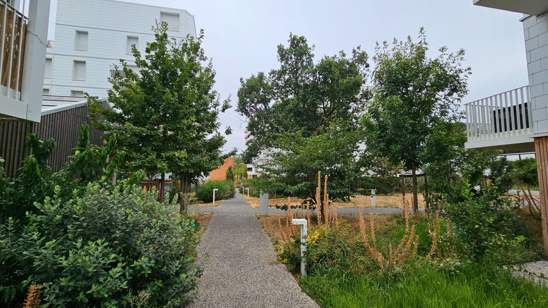 Appartement Avenue Jacques Douzans à Muret