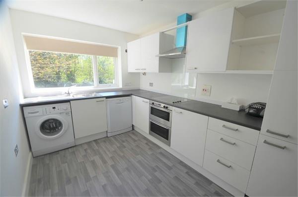 Flat The Rise in Greater London