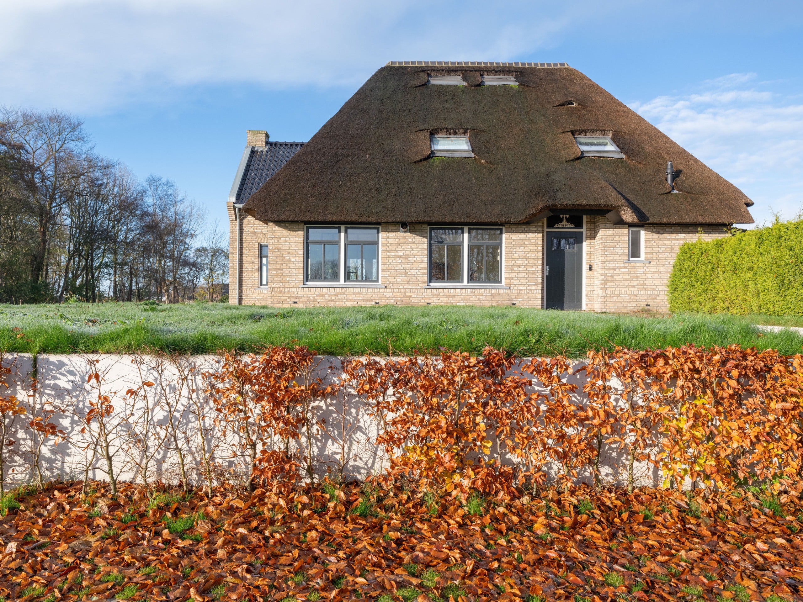 Vrijstaande woning te koop: Drachtster Heawei 96, De Wilgen