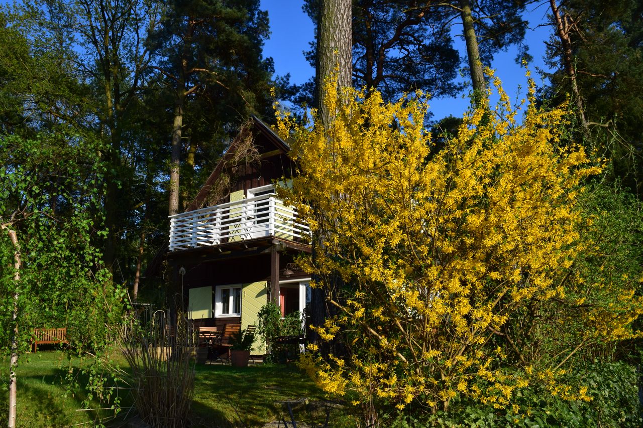Wohnung Fercher Bergstraße in Schwielowsee