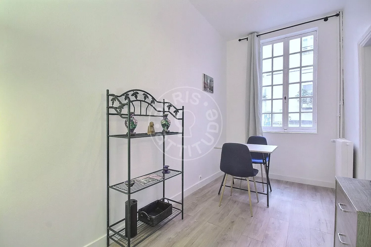 Flat Rue de Seine in Paris