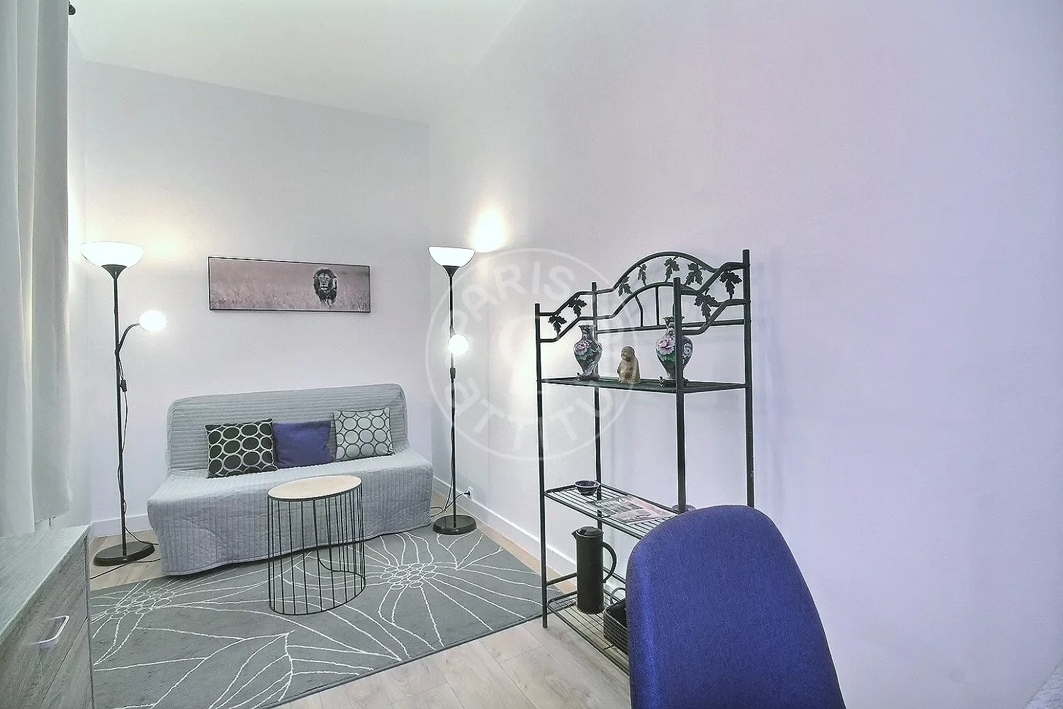 Flat Rue de Seine in Paris