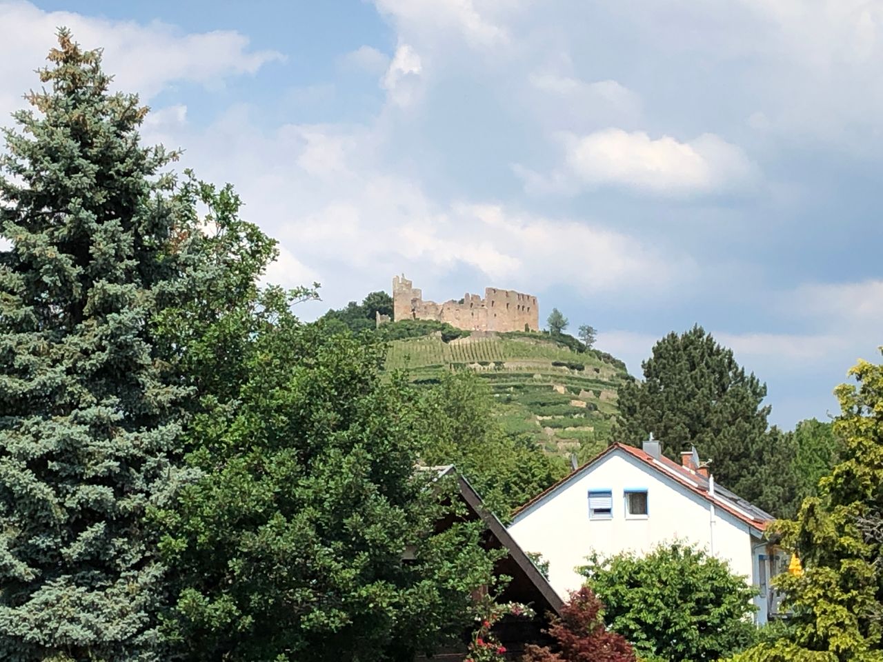 Wohnung Mülhauser Straße in Staufen (Kernstadt)