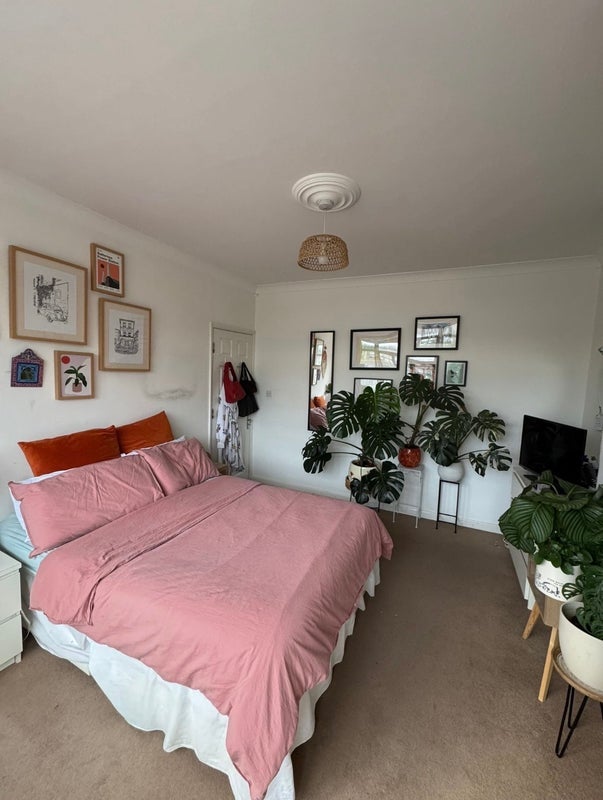 Room Hillbrook Road in Greater London