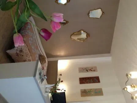 Appartement Rue Séré de Rivières à Albi