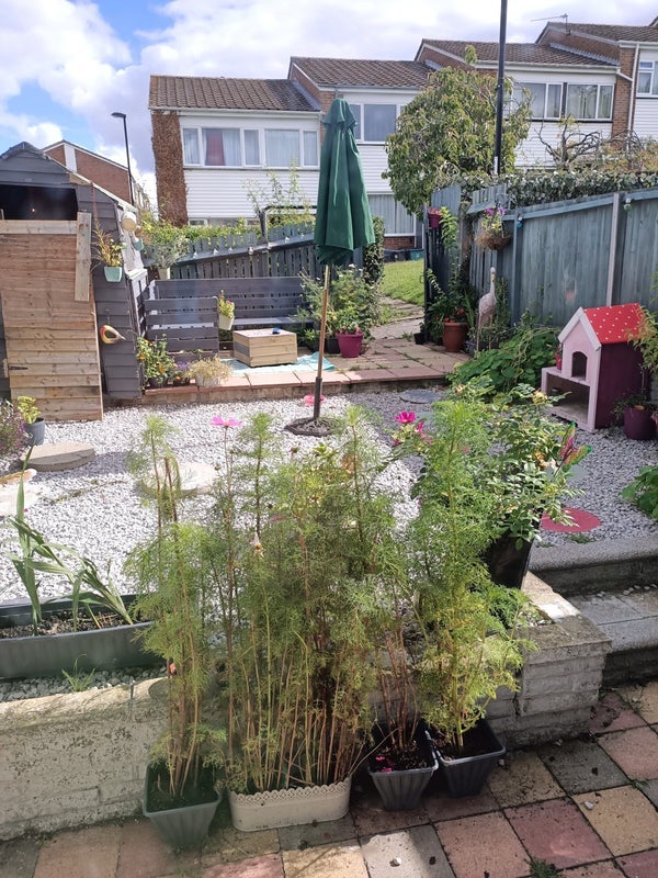 Room Osward in Greater London