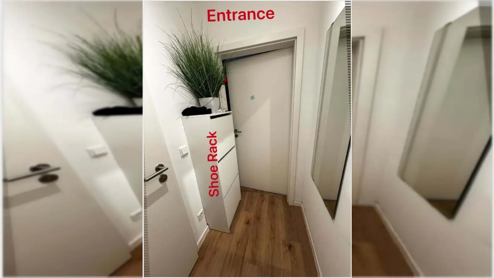 Wohnung Schopenhauerstraße in München