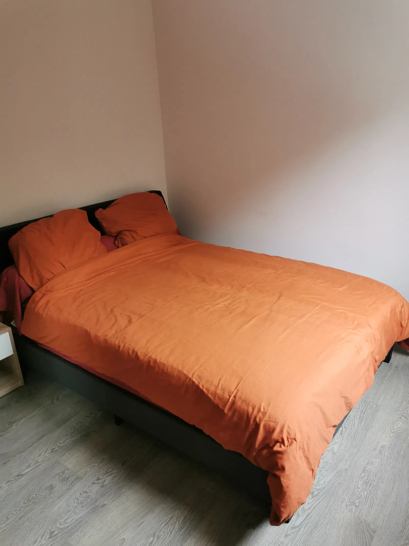 Room Terrasse de Cimiez in Nice