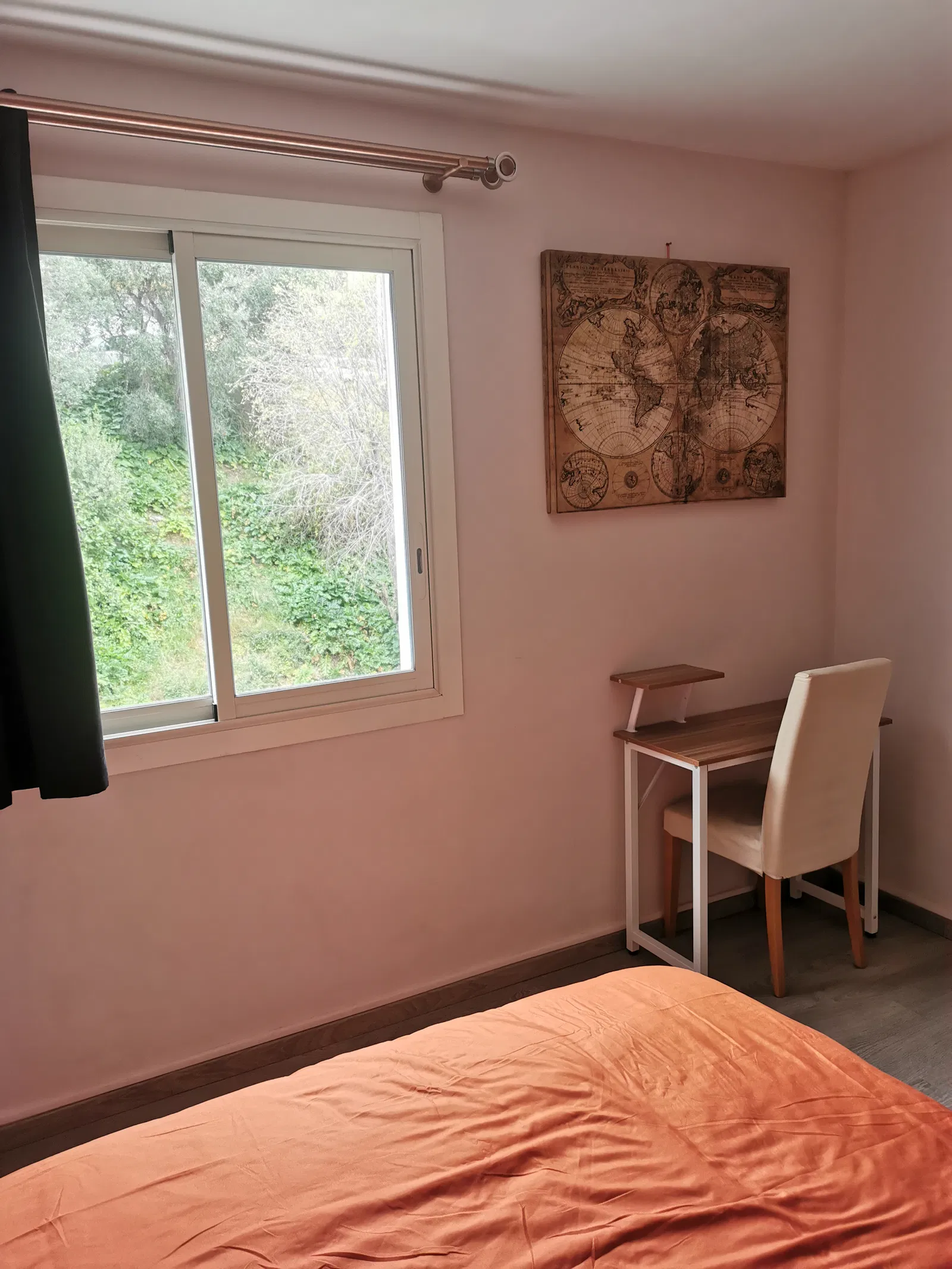 Room Terrasse de Cimiez in Nice