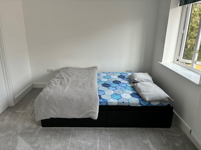 Room Philip Whitehead Road in Chelmsford
